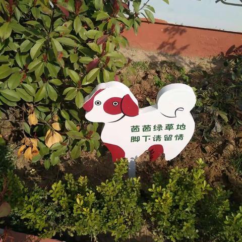 大家一起努力，让我们的校园变的更加美丽！王庄小学，愿你越来越好！