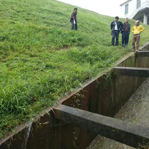 工程科王称永副科长到福山补水查看漏洞