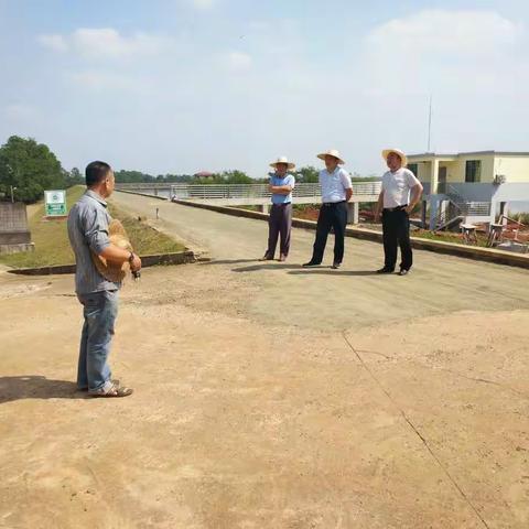 吴儒强副局长带队到福山管理区大坝段调研