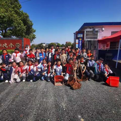 学雷锋，树新风——朱坑镇中心小学学雷锋，树新风活动