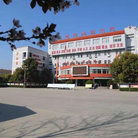 今夜偏知春气暖，虫声新透绿窗纱——八年级语文组召开“疫情下的作文教学”视频教研会