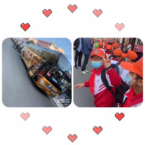 亲近动物，聆听自然——五（3）班游野生动物园