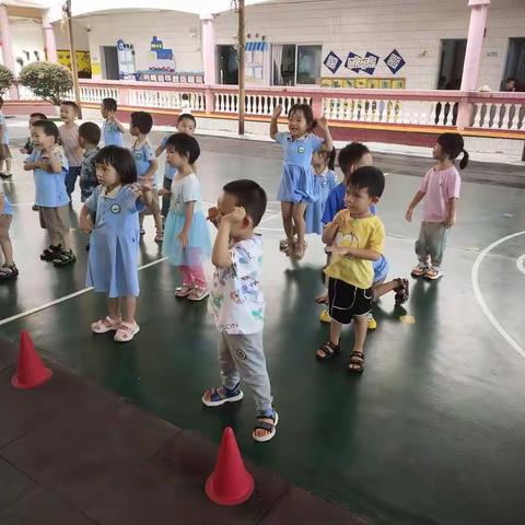 今日份篮球普及课🏀