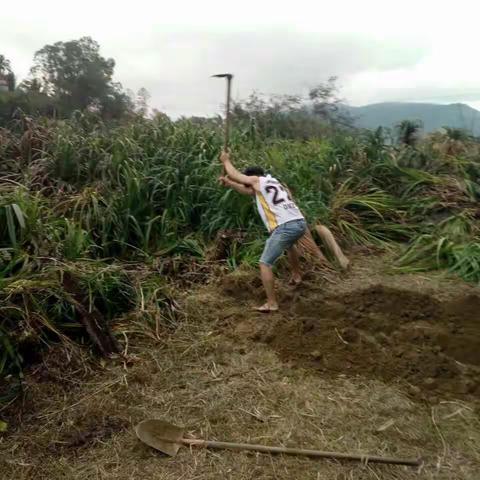 16汽修1班寒假孝心作业图片摘选！