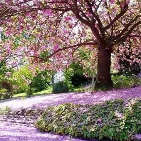 今天是个好日子