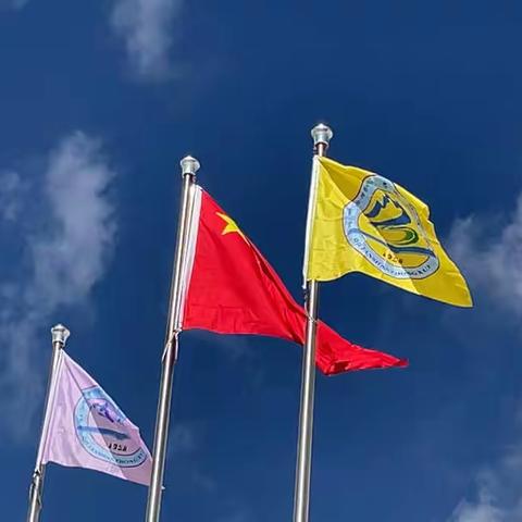 盛世迎华诞，献礼二十大