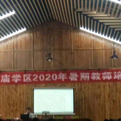 单县龙王庙学区2020年暑期教师培训