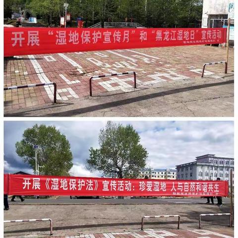 新林林业局新林林场开展2022年“湿地保护宣传月、黑龙江湿地日及《湿地法保护》宣传活动