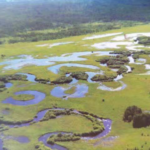 新林森林资源管护区“湿地与水”宣传