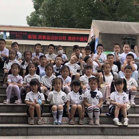 幼“小”携手，共筑成长—人和嘉旭幼儿园大大一班第18周精彩瞬间