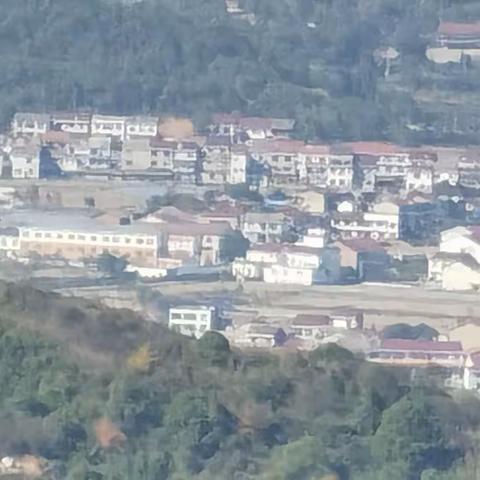 乡村为何难以振兴