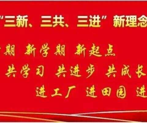 红领巾心向党   队旗伴我共成长——中国少年先锋队大营镇白石坡小学第一次代表大会