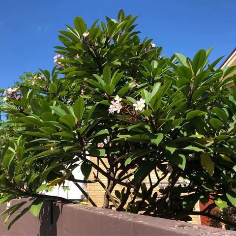 18年 遛遛买点吃的去