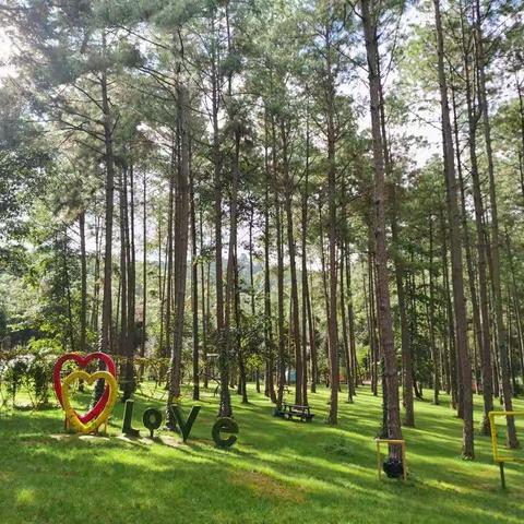 健康人生.绿色无毒