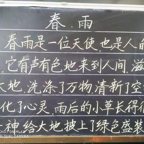 书汉字之美，展文化之韵——记兴业学校五（2）班书法比赛