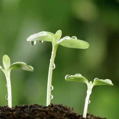 不负韶华  砥砺前行！                 ——九龙镇第二小学年级表彰大会