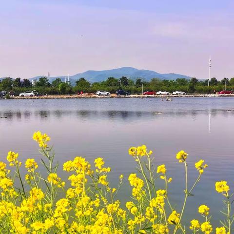 江浦汤泉的池塘