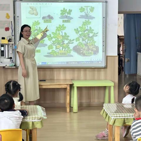 【班本课程】花生的奥秘