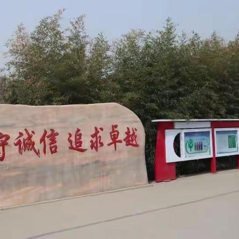 美丽的校园花的海洋
