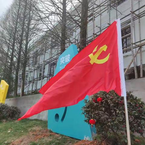 “美化环境，党员先行”之朱坑中学党日活动（副本）