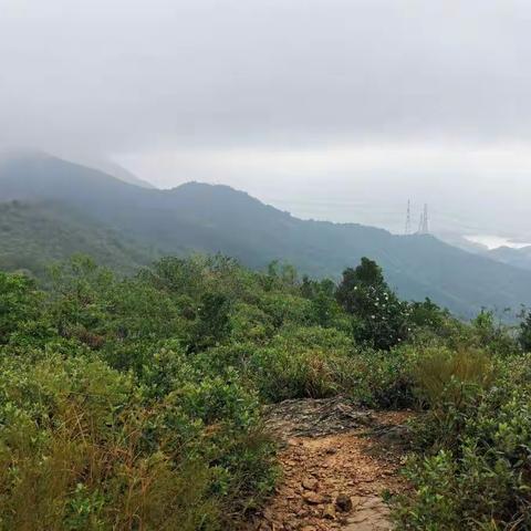 东部远足径第四段——金龟村、坝光