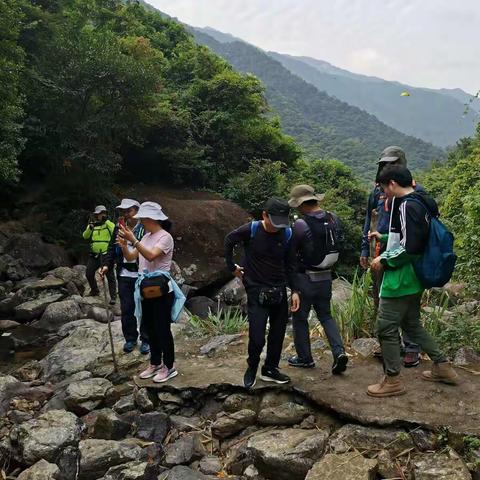 观青山云海，赏芒草盛景