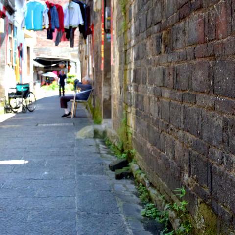 缠绕百岁生命线