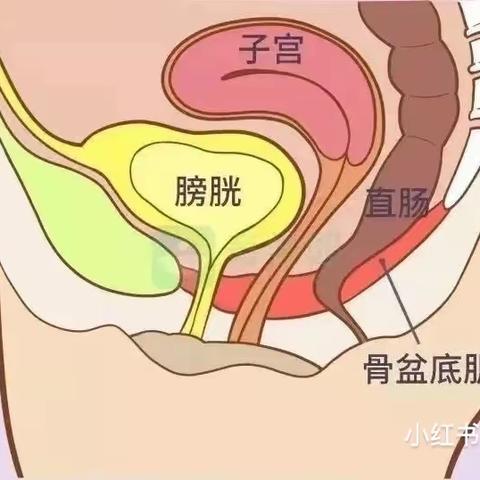 你的性福，我来守护。