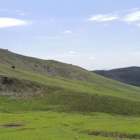 新疆是个好地方（四）