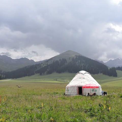 新疆是个好地方（三）