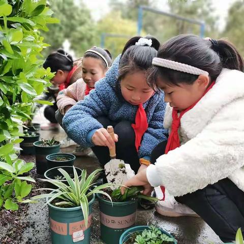 白果桑树小学植树节活动