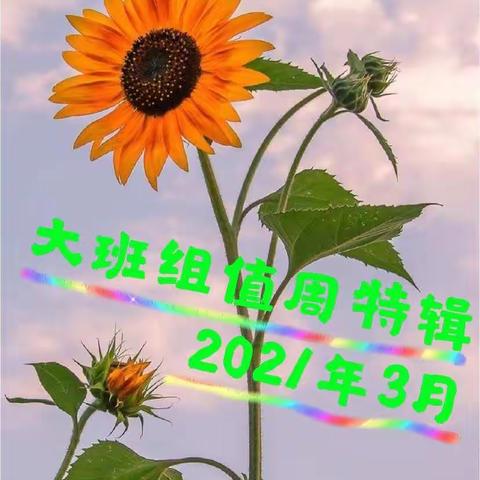 内蒙古民族大学幼儿园大班组值周特辑