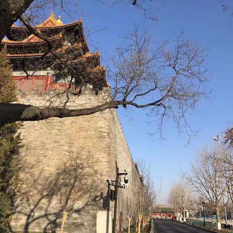 记录身边的琐碎事