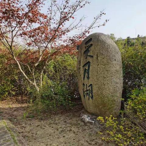 不待扬鞭自奋蹄——参观栖霞区、建邺区教师发展中心有感