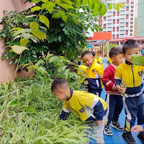 天使嘉诚幼儿园中一班“在秋天里🍂”