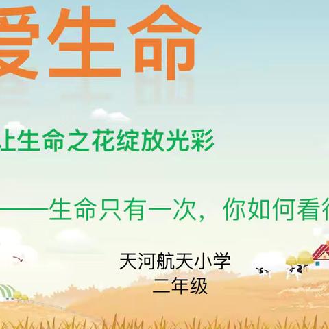 生命只有一次，珍爱生命