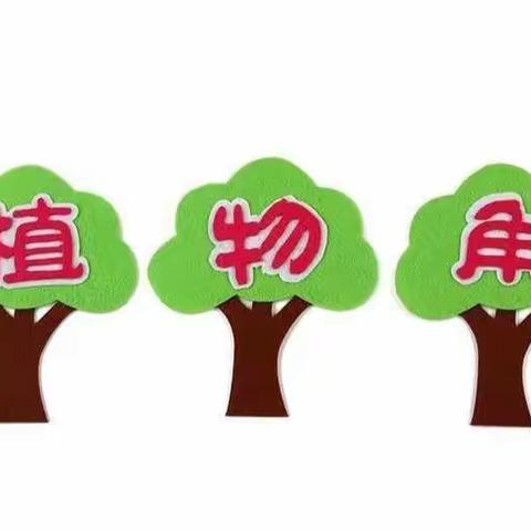 小角落，大自然——花草物语自然角