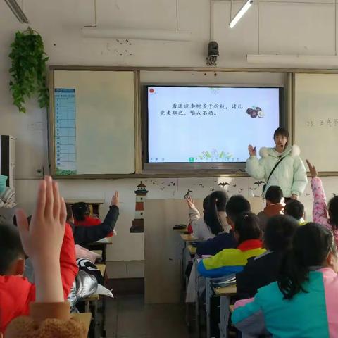 乐学善思 研无止境