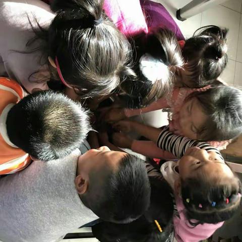 海东百灵鸟幼儿园先河西苑大二班---过立冬