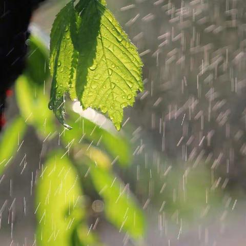 下雨天🌧️