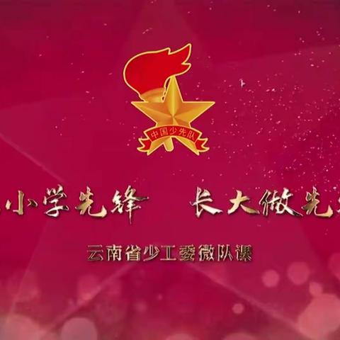 韶山师生观看“从小学先锋，长大做先锋”微队课活动简讯