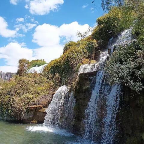 ICE8000国际信用监督体系