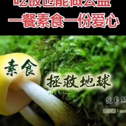 周一请吃素！我们只有一个地球！【德广素食】邀你一起加入！