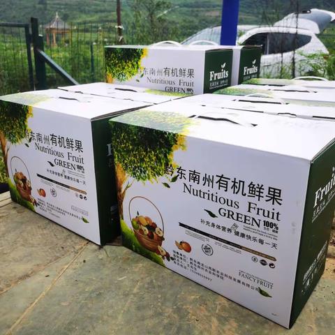 九九重阳节，浓浓敬老情——采摘猕猴桃之约