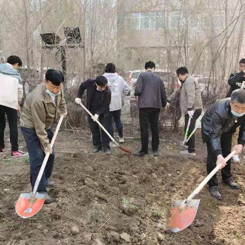 乌铁建工程咨询有限公司开展   “生态味蕾”蔬菜种植活动