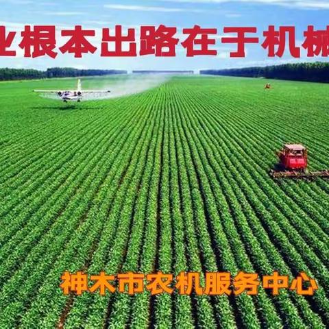 段智博调研农机化工作