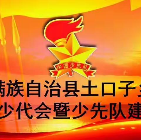 【传承红色基因，争做新时代好少年】——中国少年先锋队清原满族自治县土口子乡中学第一次代表大会会议纪实