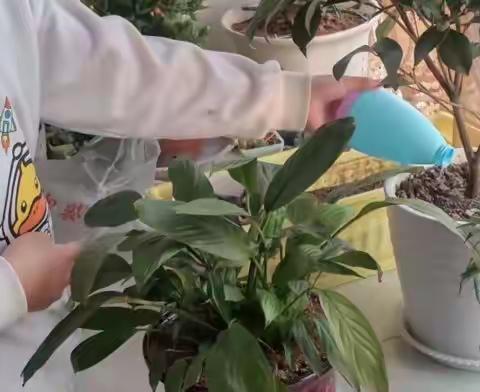 五一班植树节活动