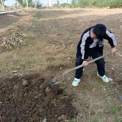 四二班德育日志