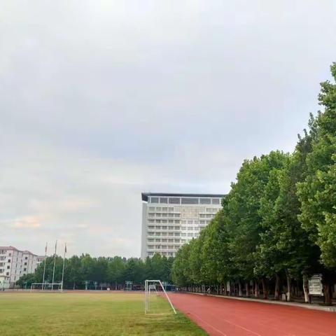 履家庭责任     做合格家长——红星学校九年一贯制“家庭教育宣传周”活动通知